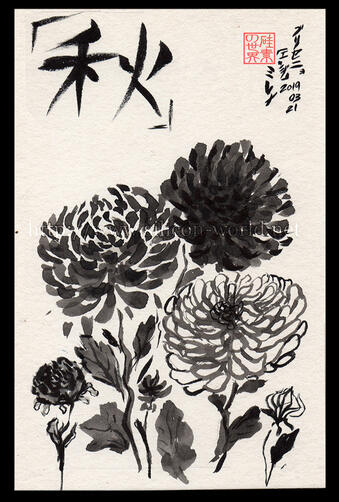 Chrysanthemum