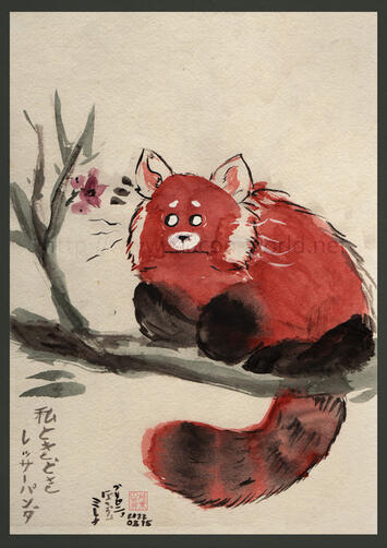 私ときどきレッサーパンダ