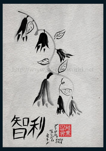 Lapageria rosea 2022